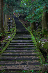 神社へ向かう石段