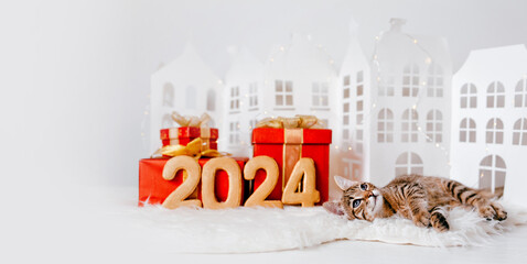 A kitten looking thoughtfully into the distance next to the Figures of the upcoming new year 2024...