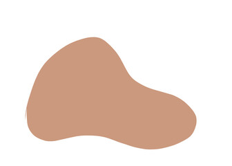 chocolate cookie
