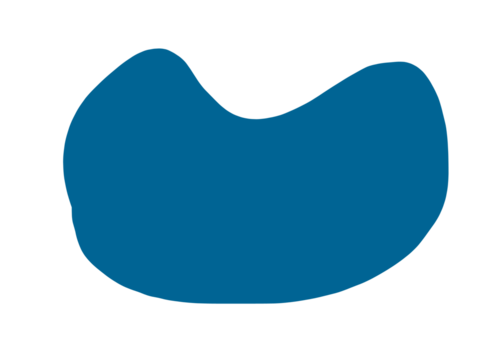 blue bird icon