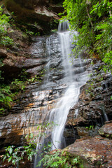 waterfall in the forest