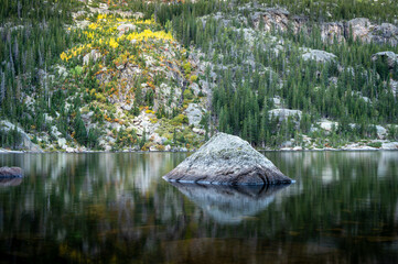 Water and Flowers In Mountain