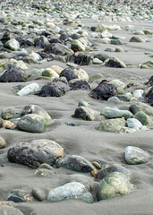 Obraz premium Low tide beach, cabo san pablo, tierra del fuego, argentina
