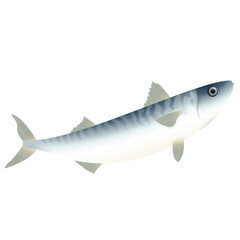 Small Blue Grey Stripped Fish | Seafood Series