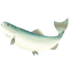 White Spotted Green Fish | Seafood Series