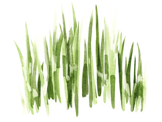Green grass watercolor