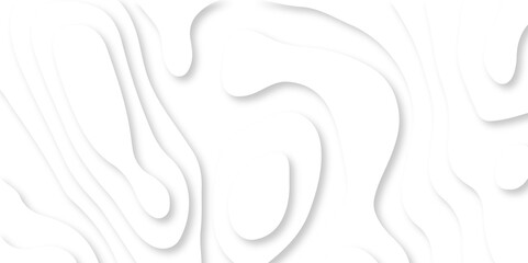 Fototapeta premium Gray and white abstract papercut background. Abstract white papercut background 3d realistic design use for ads banner and advertising print design vector. 3d topography relief. Vector topographic.
