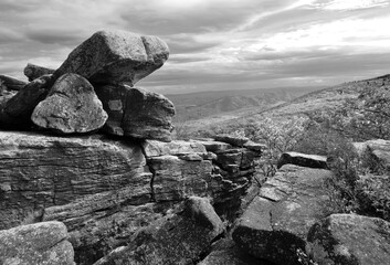 Bear Rocks Preserve, Dolly Sods