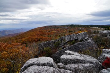 Landscape at Dolly Sods Wilderness