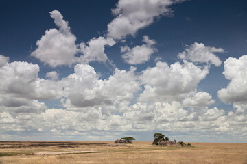 Serengeti plains landscape. The Serengeti ecosystem is a geographical region in Africa, spanning the Mara and Arusha Regions of Tanzania