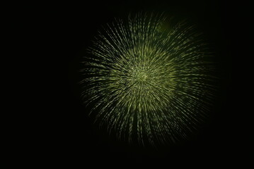 fireworks in the night