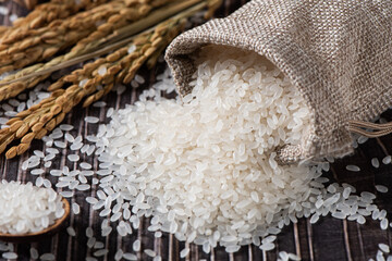 close up of rice in sack background，white rice grain texture background