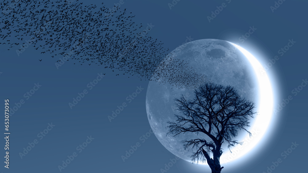 Aufkleber Silhouette of birds with lone dead tree and new moon against amazing sunset 