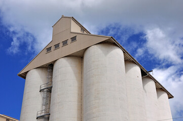 peanut silos