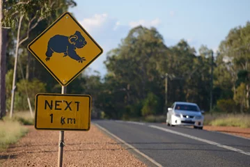 Schilderijen op glas koalas cross here © Lakeview Images
