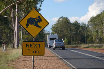 koalas cross here