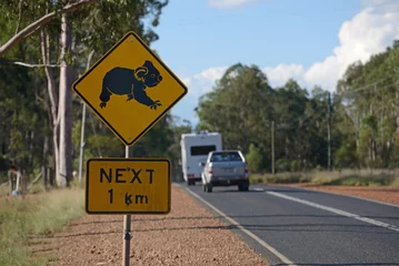 Foto auf Alu-Dibond koalas cross here © Lakeview Images
