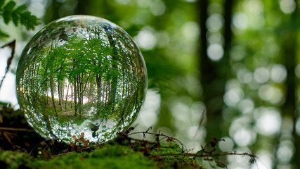 Focus on taking care of nature shown with a glass ball with nature  reflected  inside and outside the ball. A room with nature in the nature.