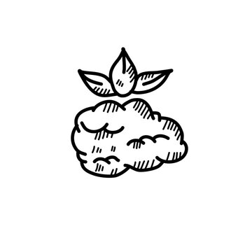 frf
