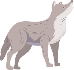 wolf