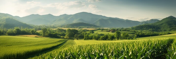 a green corn field with hills in the background, generative AI