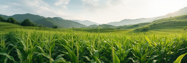 a green corn field with hills in the background, generative AI - obrazy, fototapety, plakaty