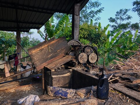 Indonesian traditional system of cane sugar industry