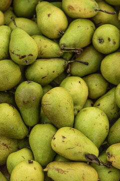 Pear background