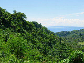 Fototapeta na wymiar View of green hills on a tropical island. Small hills covered with jungle and tropical rainforest.