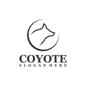 Wolf Head logo design Vector. Coyote logo design template Illustration