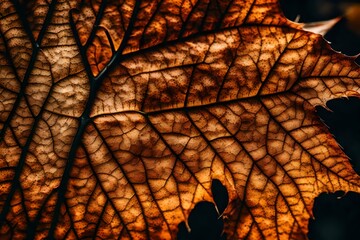 Close-up autumn dry leaf textured wallpaper
