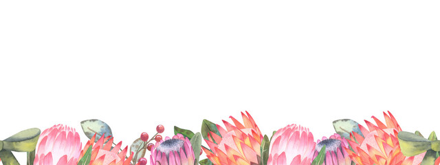 Watercolor border of soft pink proteas with green leaves against a background of eucalyptus branches with red berries and a green bow in a glass vase. Hand drawn isolated on white background. - obrazy, fototapety, plakaty
