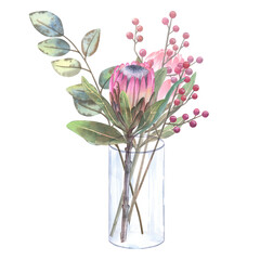 Watercolor illustration of soft pink proteas with green leaves against a background of eucalyptus branches with red berries and a green bow in a glass vase. Hand drawn isolated on white background.