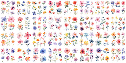 A Big watercolor floral package collection. Use by fabric, fashion, wedding invitation, template, poster, romance, greeting, spring, bouquet, pattern, decoration and textile.	