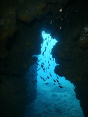 Naklejka na ściany i meble underwater in cave beautiful light scenery in ocean scuba divers to see in cave backgrounds