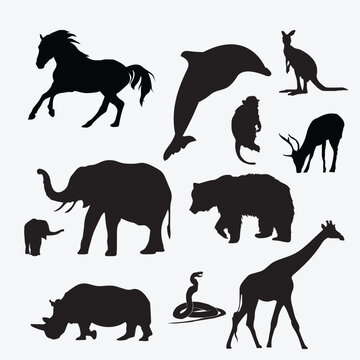 Animals vector png