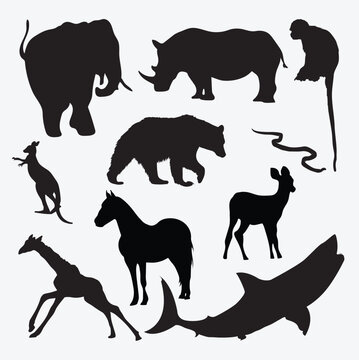 Animals vector png