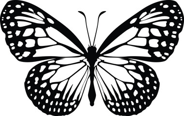 butterfly black and white silhouette SVG 