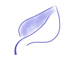 illustration blue leaf isolated on white