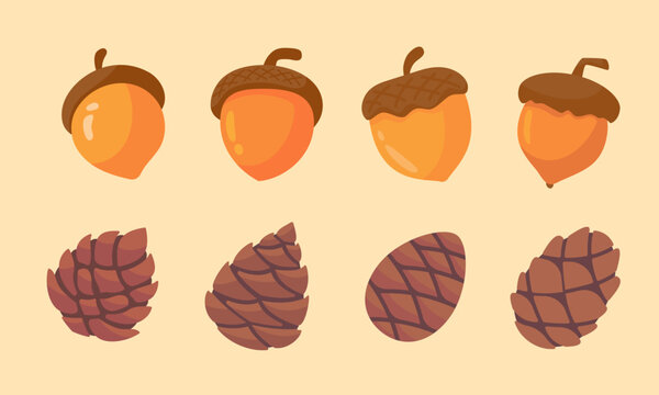 autumn acorn Thanksgiving decorative elements