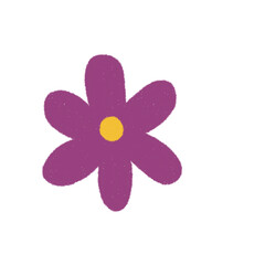 Purple flower with yellow pistil