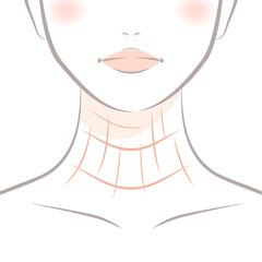 首のしわ