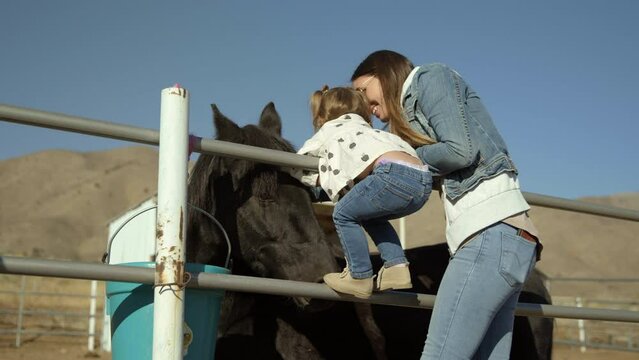 Adorable girl and woman petting horse over fence - Low Shot