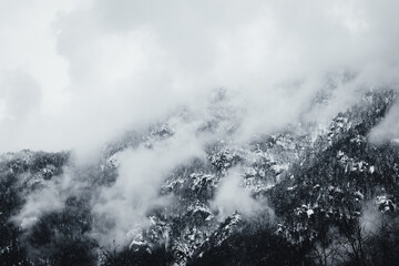 Forest of mountain Olympus covered with snow and fog winter landscape v4
