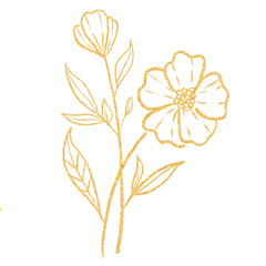 botanical flower golden line 