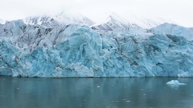 Glaucous Gull flying in front of a Glacier