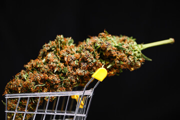 Cannabis buds in a shopping trolley on a black background