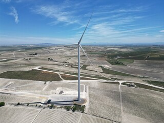 Aerial view of wind turbines in vineyards