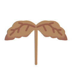 枯れかけの双葉⭐︎PNG