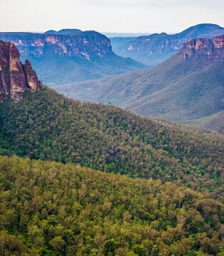 A shot of the Grose Valley looking east from the lookout at Govett's Leap in the Blue Mountains of New South Wales. The valley shows the blue colouring the area is famous for.